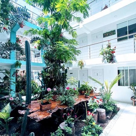 פאלמירה Hotel Boutique Los Remansos מראה חיצוני תמונה