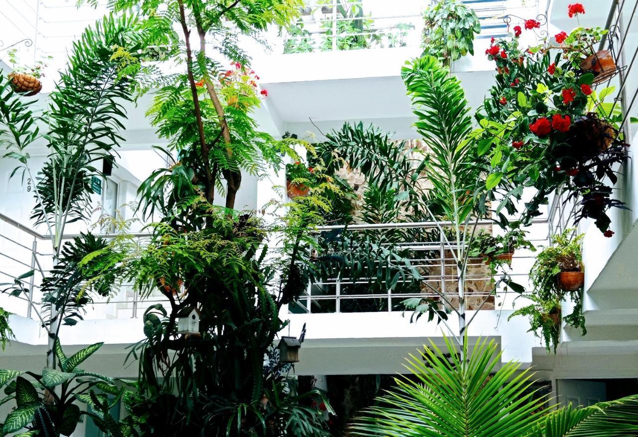 פאלמירה Hotel Boutique Los Remansos מראה חיצוני תמונה