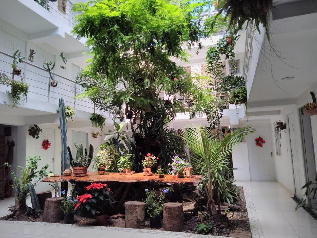 פאלמירה Hotel Boutique Los Remansos מראה חיצוני תמונה